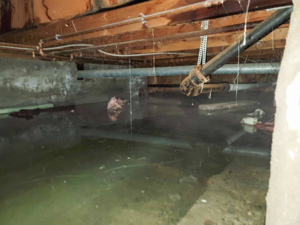 Sewage cleanup and water damage restoration in Westminster, LA