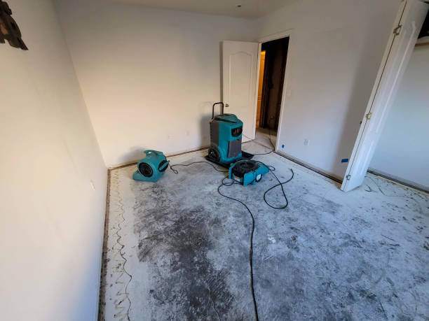 Best Flood damage cleanup  in Westminster, LA