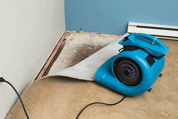 Best Water damage restoration near me  in Westminster, LA